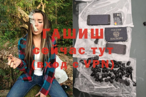 прущие грибы Козельск