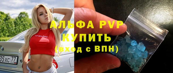 прущие грибы Козельск