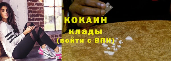 прущие грибы Козельск