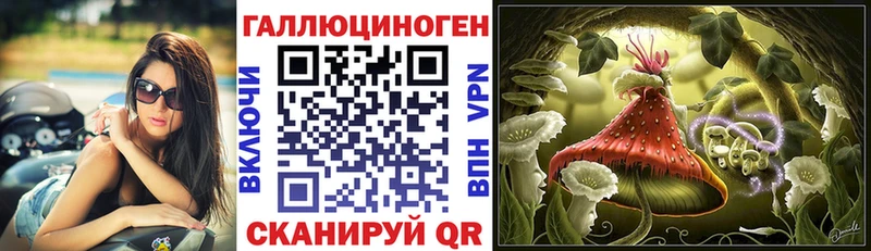 Галлюциногенные грибы мицелий  Купить где  Плёс 
