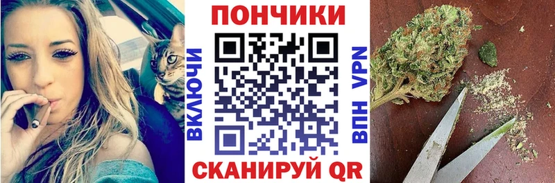 Купить закладки  Плёс  Шишки марихуана марихуана 